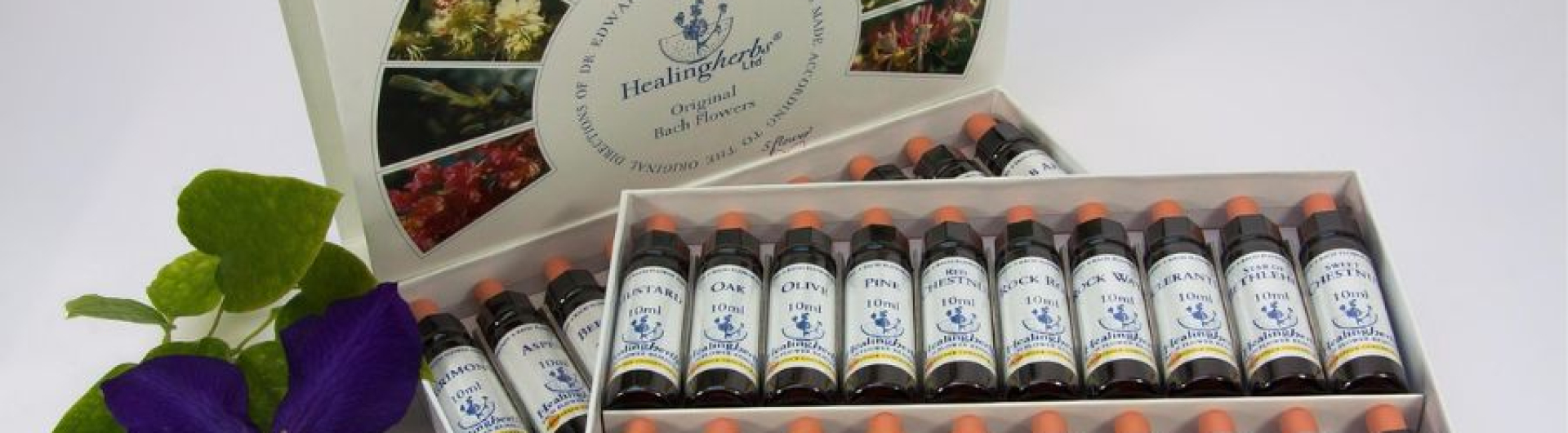 Bach Flowers: A Path to Emotional Balance